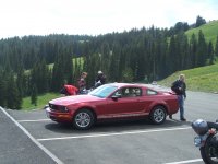 Mustang at Yellowstone